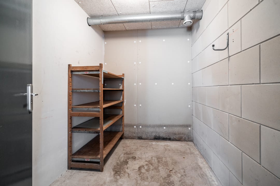 Foto 7 van Vette Knol 93