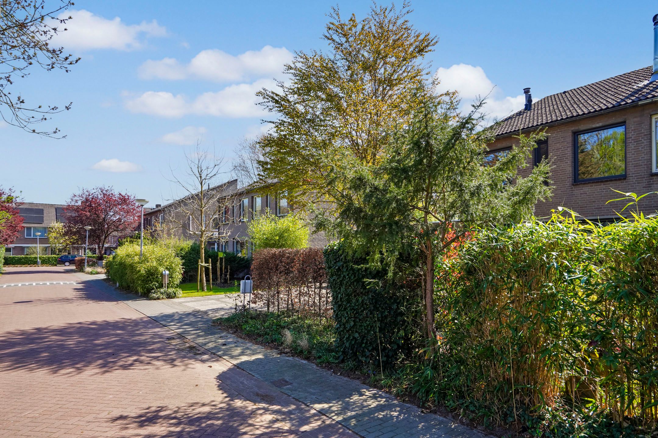 Foto 48 van De Baken 66