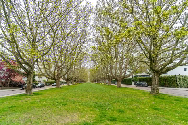 Foto 27 van Johannes Worpstraat 51-1