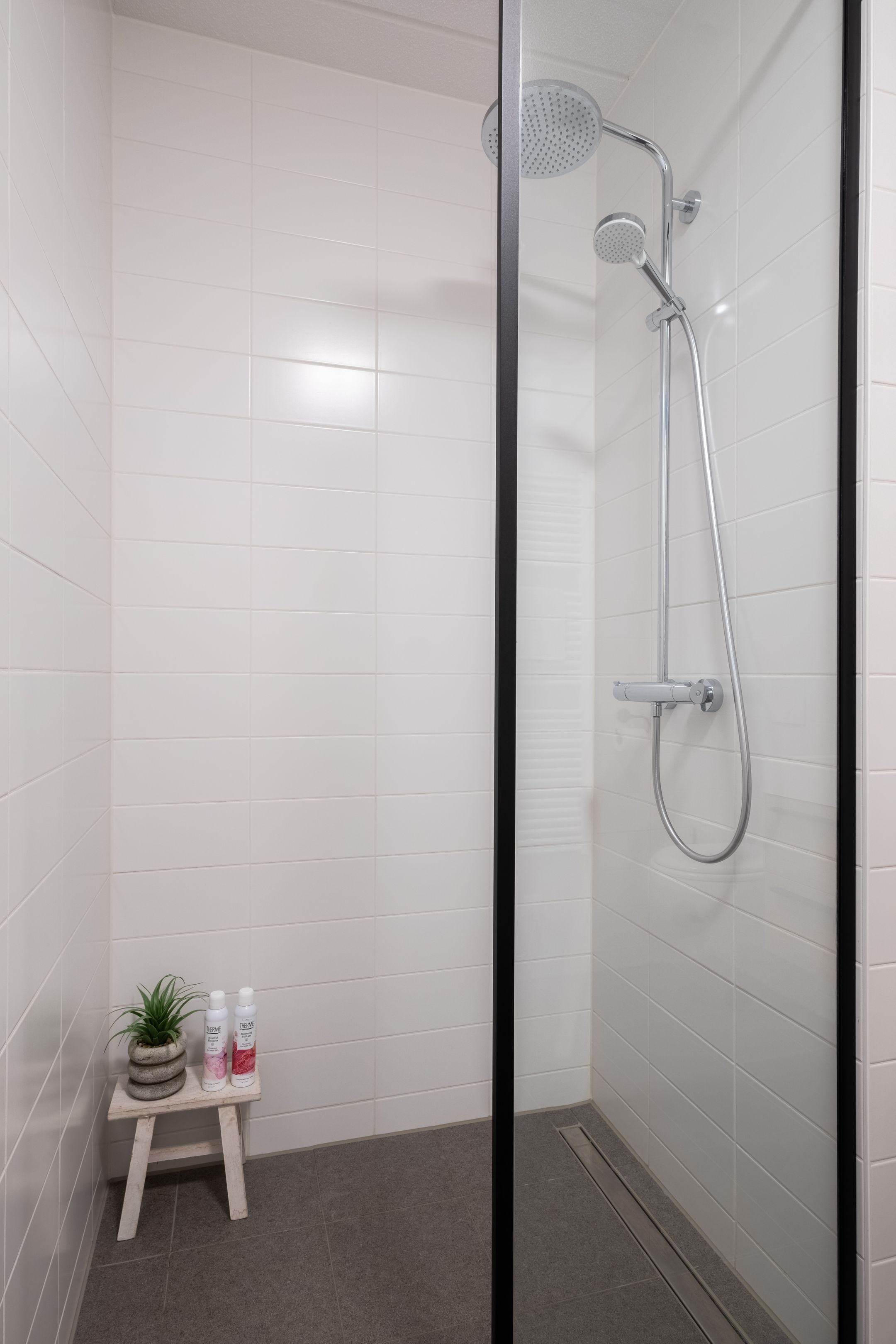 Foto 39 van Wergeasterdyk 58-B