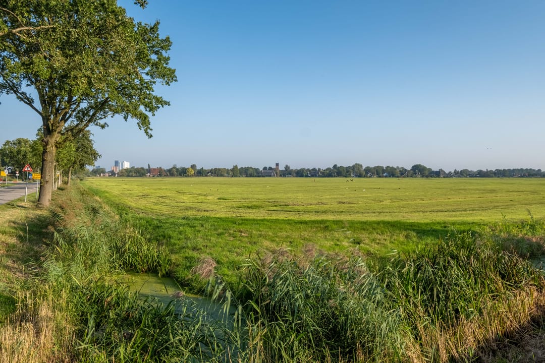 Foto 53 van Wergeasterdyk 58-B