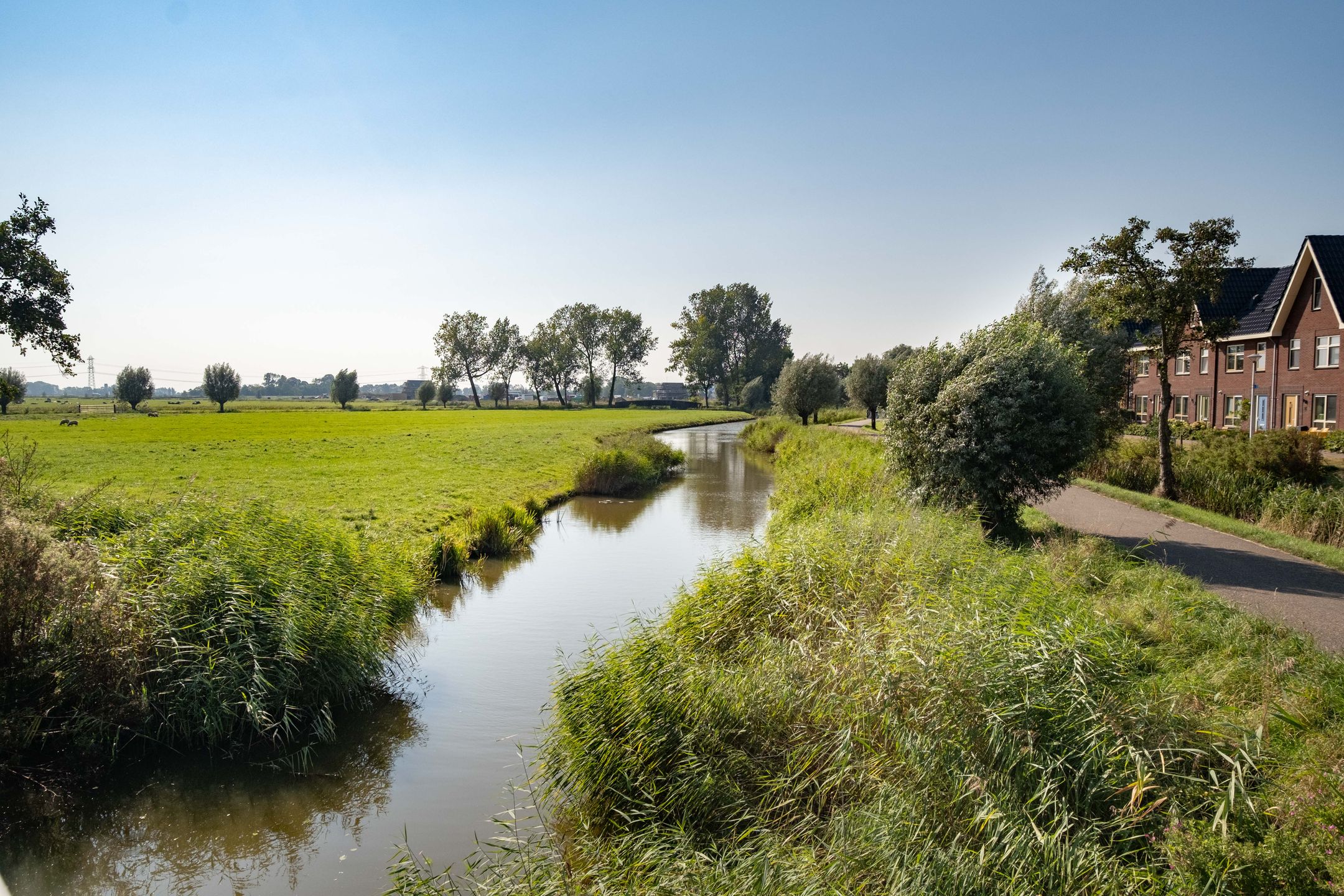 Foto 54 van Wergeasterdyk 58-B