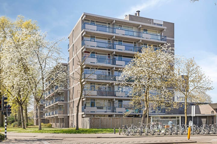 Foto 2 van Kastelenplein 139