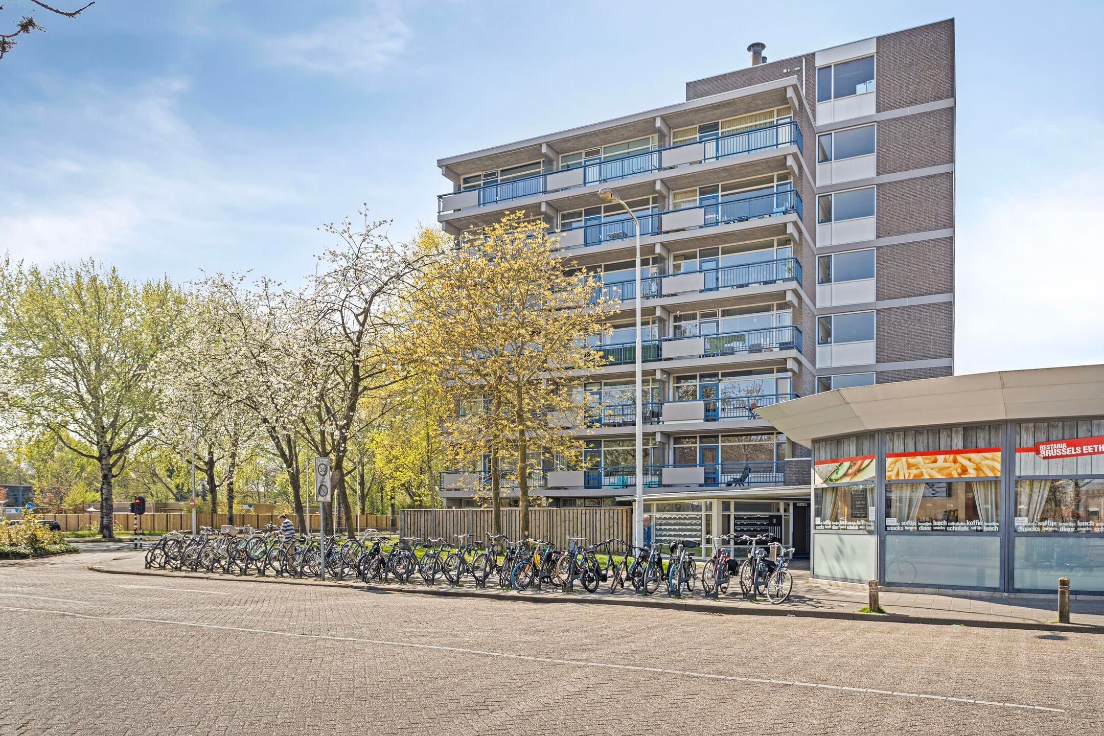 Foto 3 van Kastelenplein 139