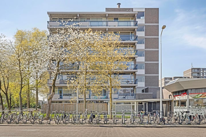 Kastelenplein 139