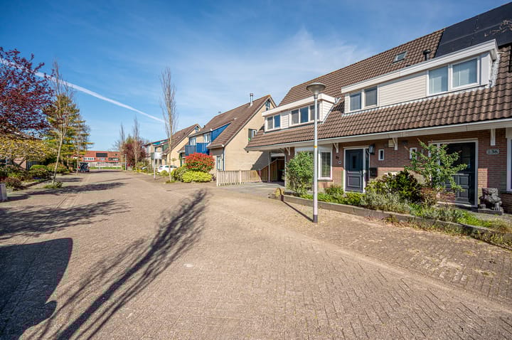 Foto 53 van De Specerij 37