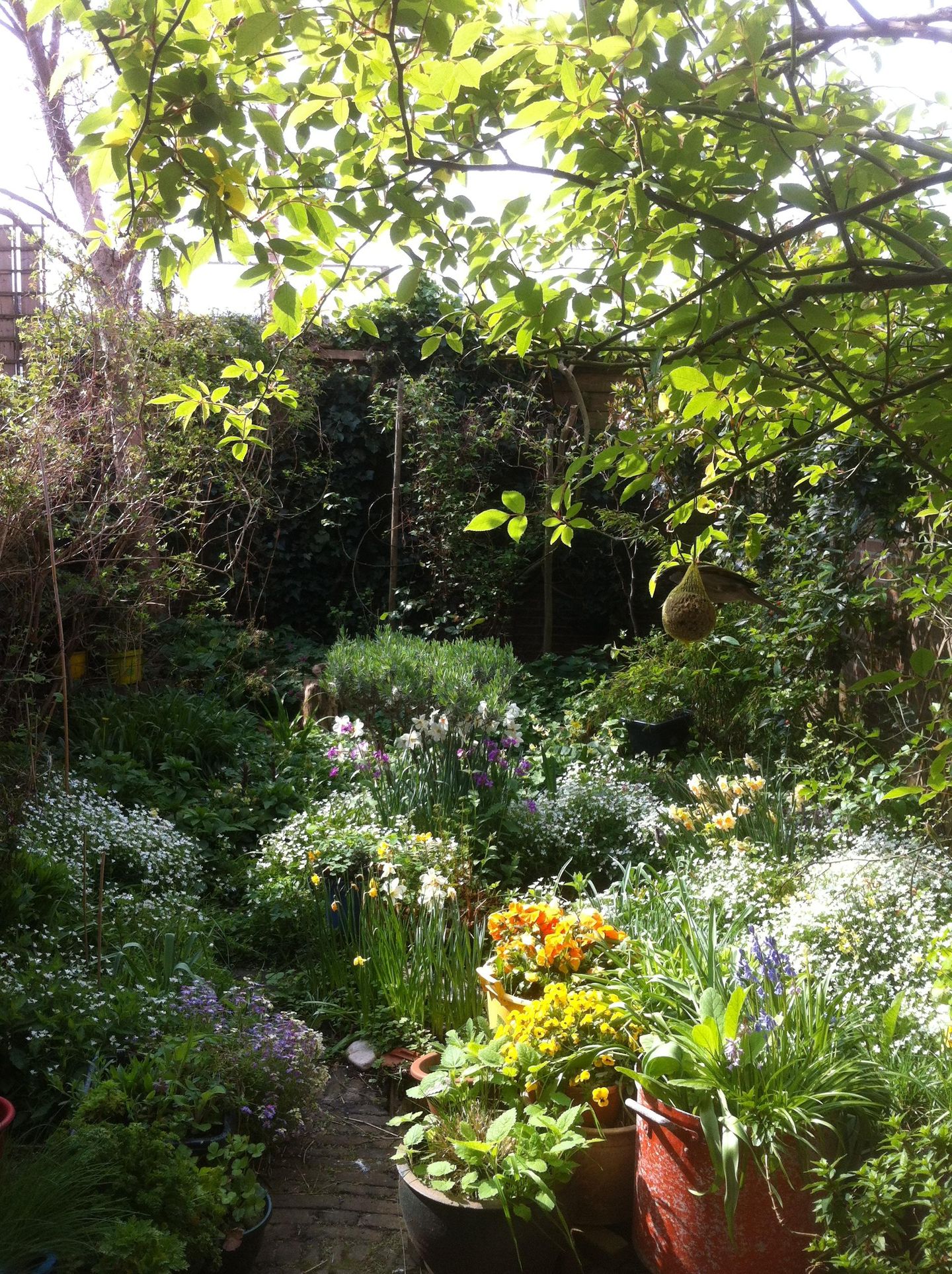 Foto 19 van Koningsweg 63