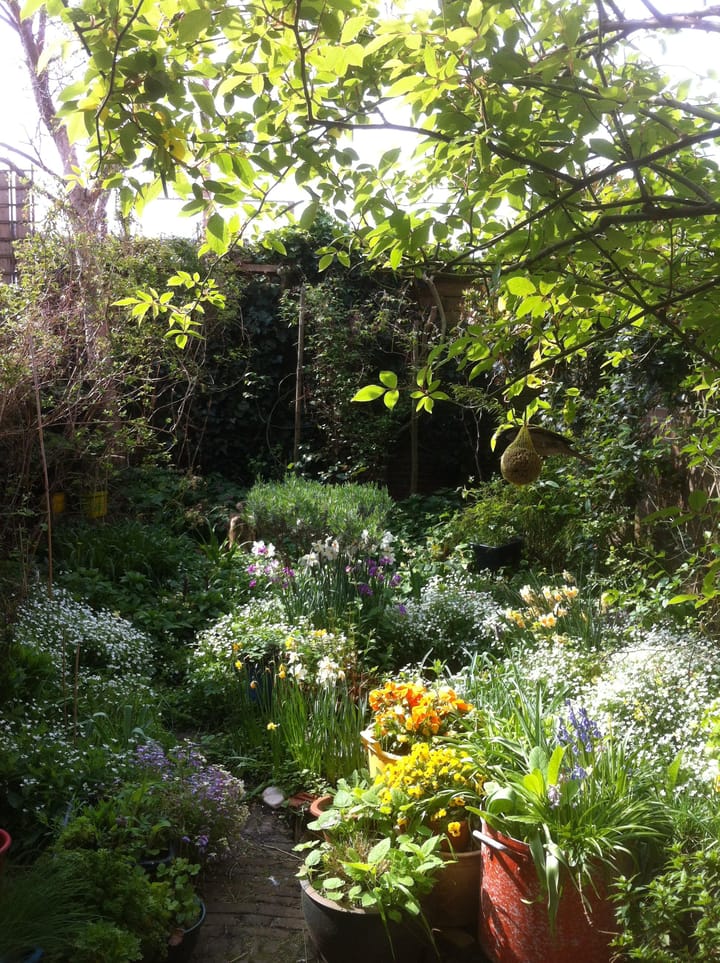 Foto 19 van Koningsweg 63