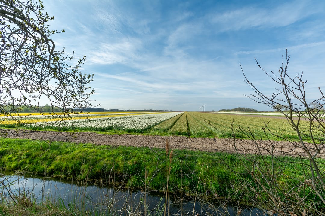 Foto 2 van Ruigeweg 55-AH16