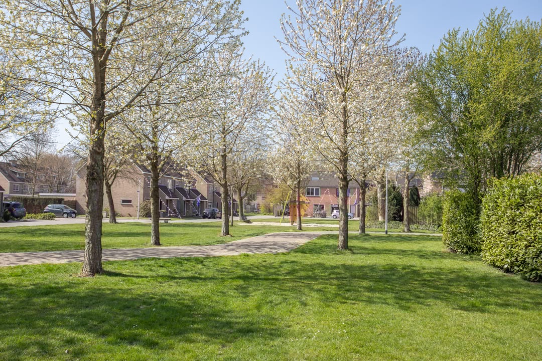 Foto 2 van Hooiland 51