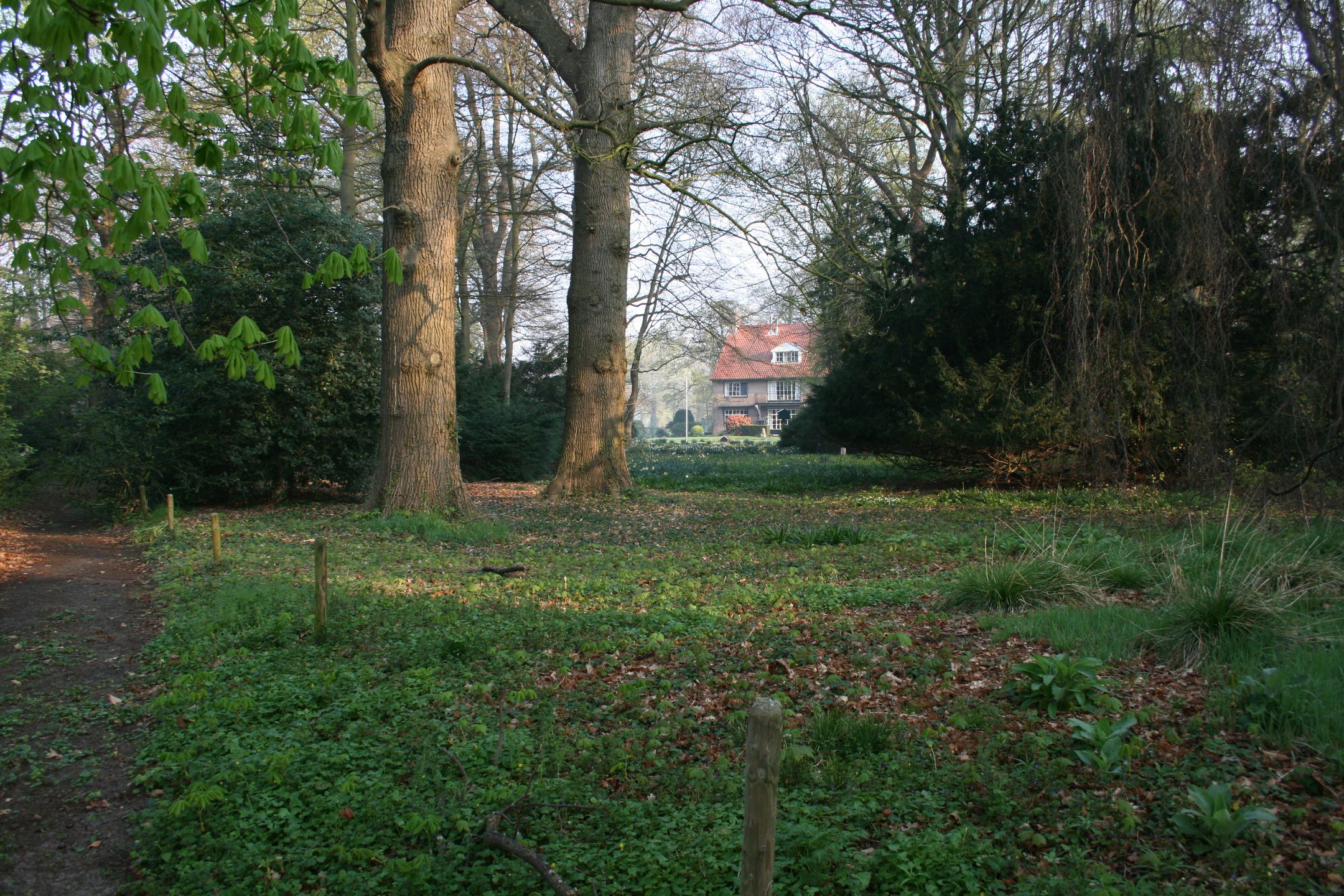 Foto 3 van Noordereinde 267