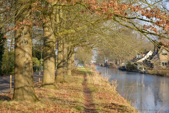 Foto 18 van Noordereinde 267