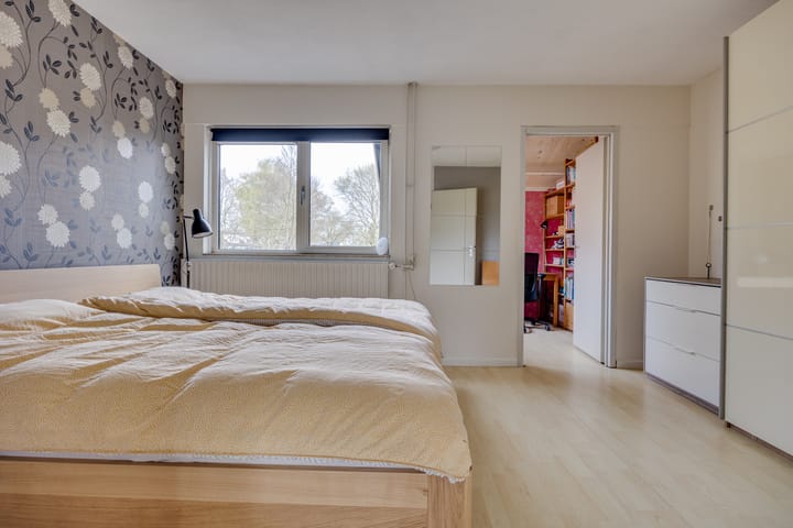 Foto 12 van Zilverreiger 19