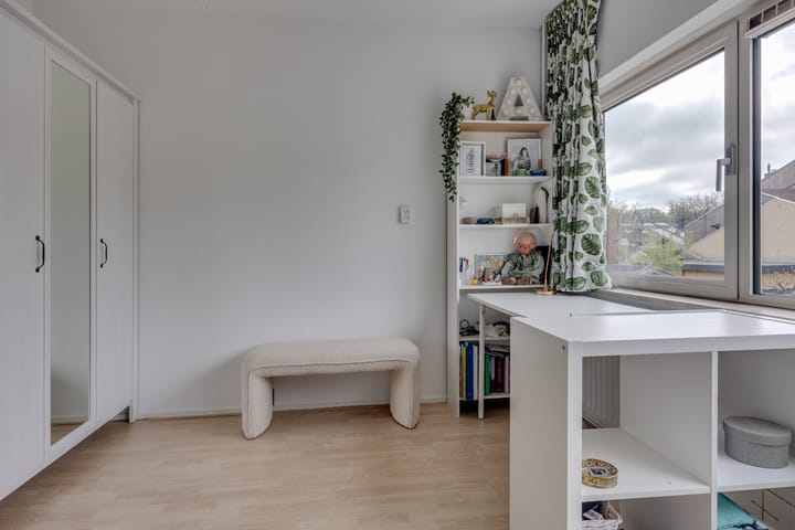 Foto 20 van Zilverreiger 19