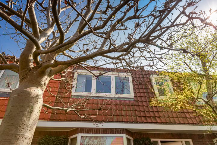 Foto 48 van Jacob Catsstraat 51