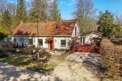 undefined main image