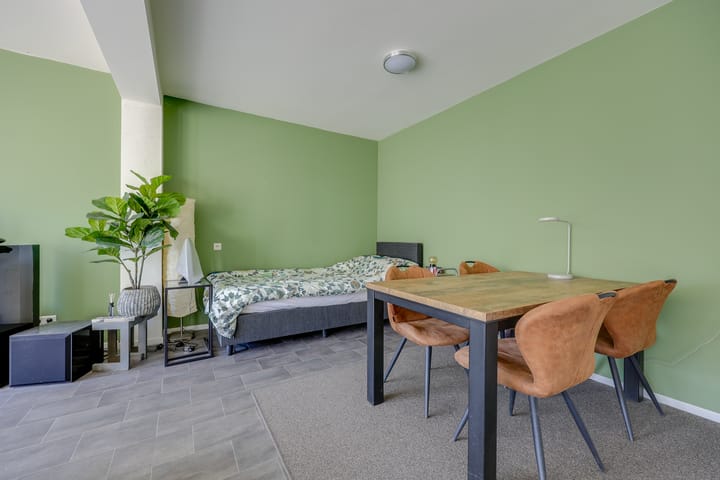 Foto 12 van Tigrisdreef 29