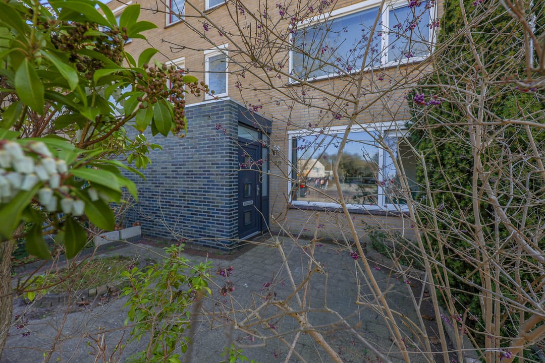 Photo 46 of Tigrisdreef 29