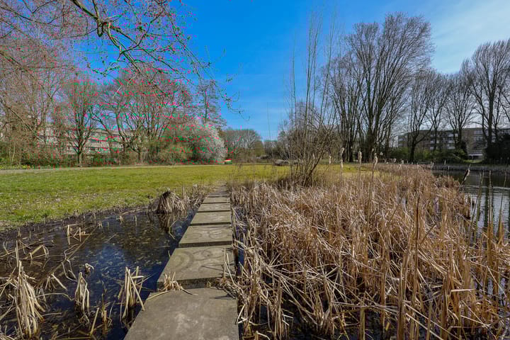 Foto 49 van Tigrisdreef 29