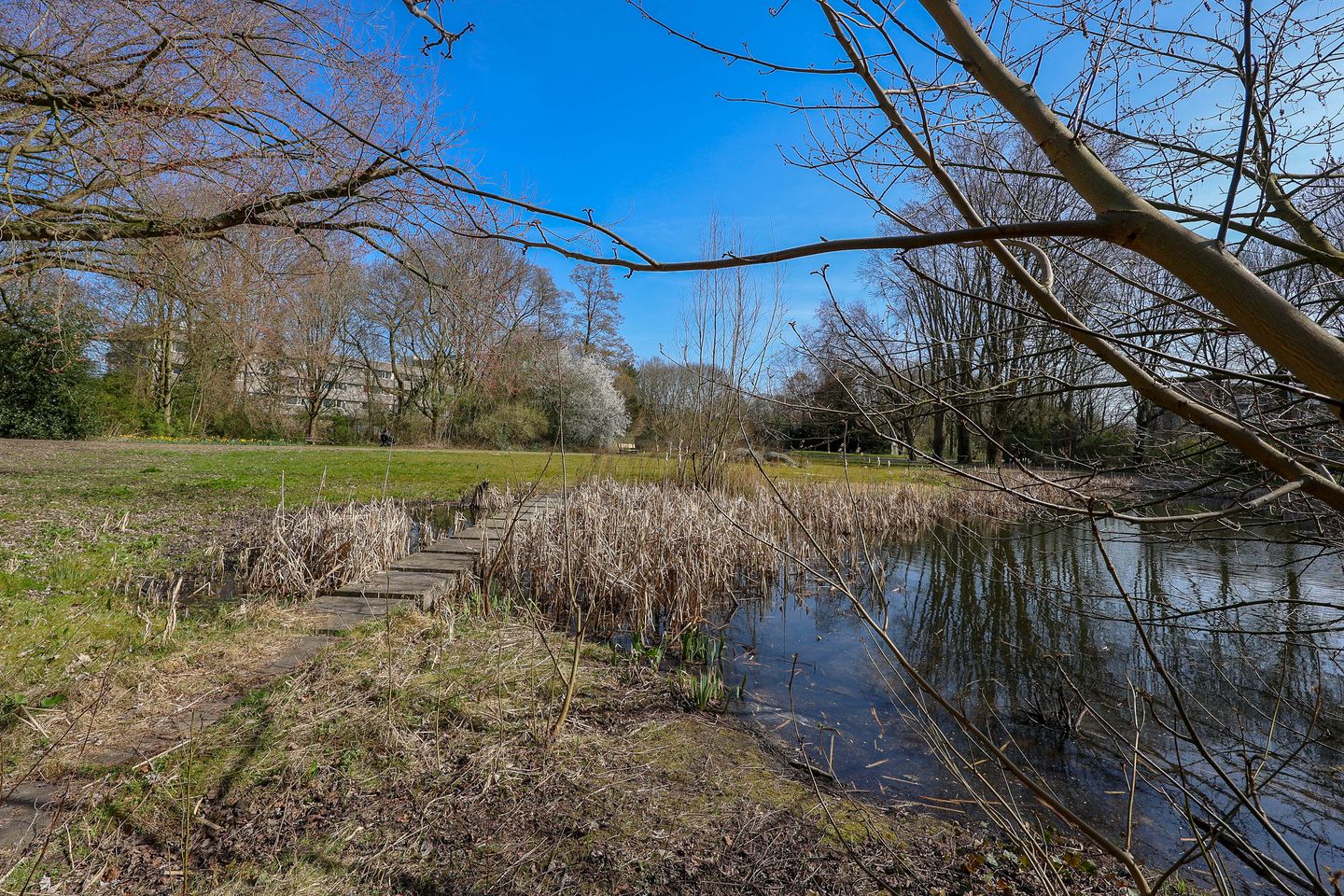 Photo 50 of Tigrisdreef 29