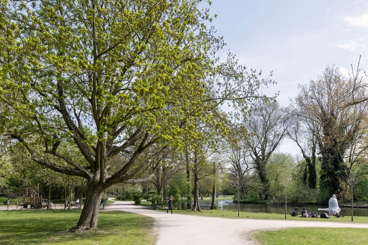 Photo 31 of Van Hogendorpstraat 153-H