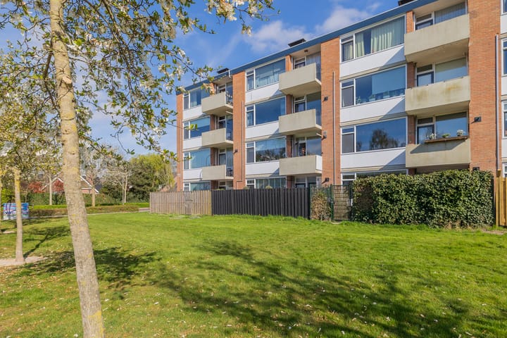 Foto 5 van Faleriolaan 199