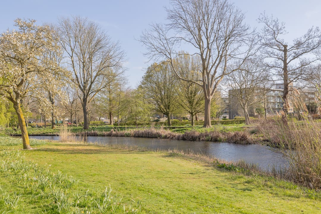 Foto 38 van Faleriolaan 199