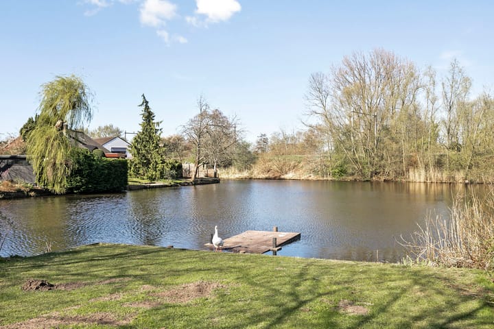 Foto 37 van Puntmosstraat 47