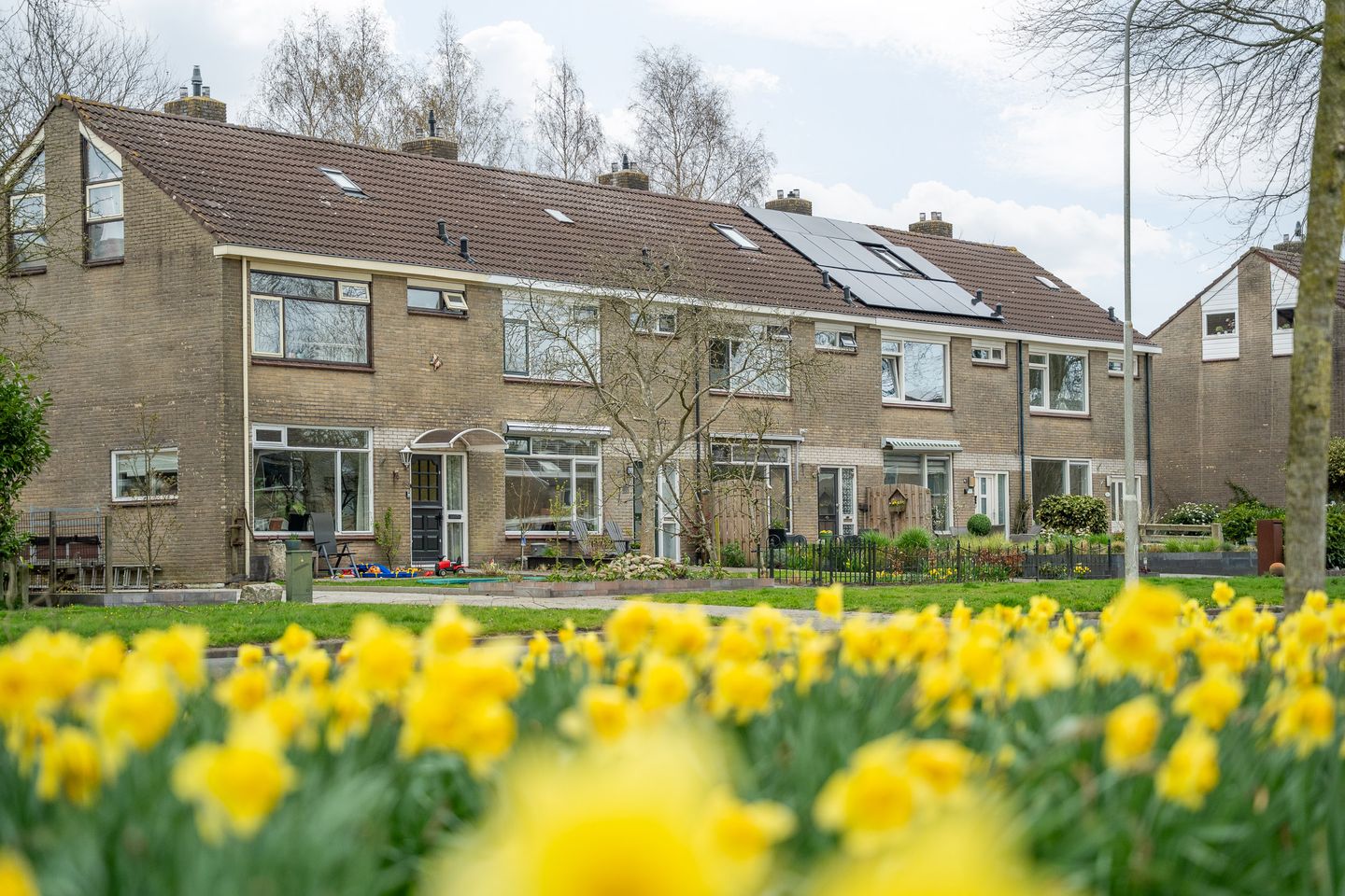 Photo 34 of Wester-omwei 20