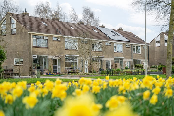 Foto 34 van Wester-omwei 20