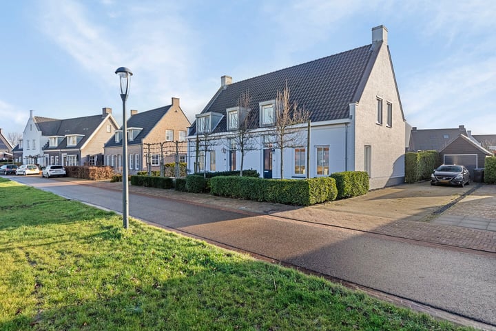 Bekijk foto van Dulciaansingel 47