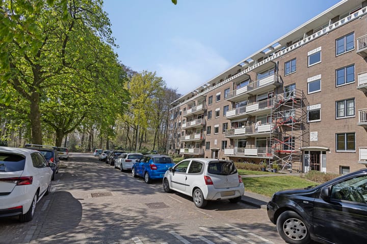 Foto 6 van Lippe Biesterfeldstraat 11-1