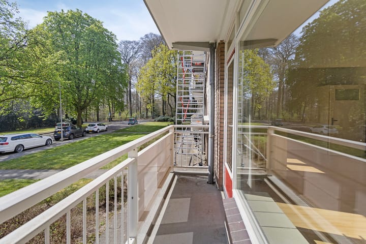 Foto 14 van Lippe Biesterfeldstraat 11-1