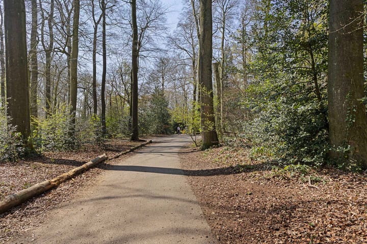 Foto 25 van Lippe Biesterfeldstraat 11-1