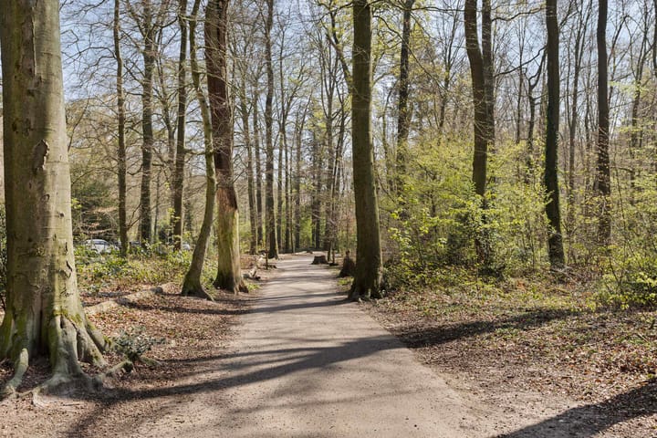 Foto 26 van Lippe Biesterfeldstraat 11-1