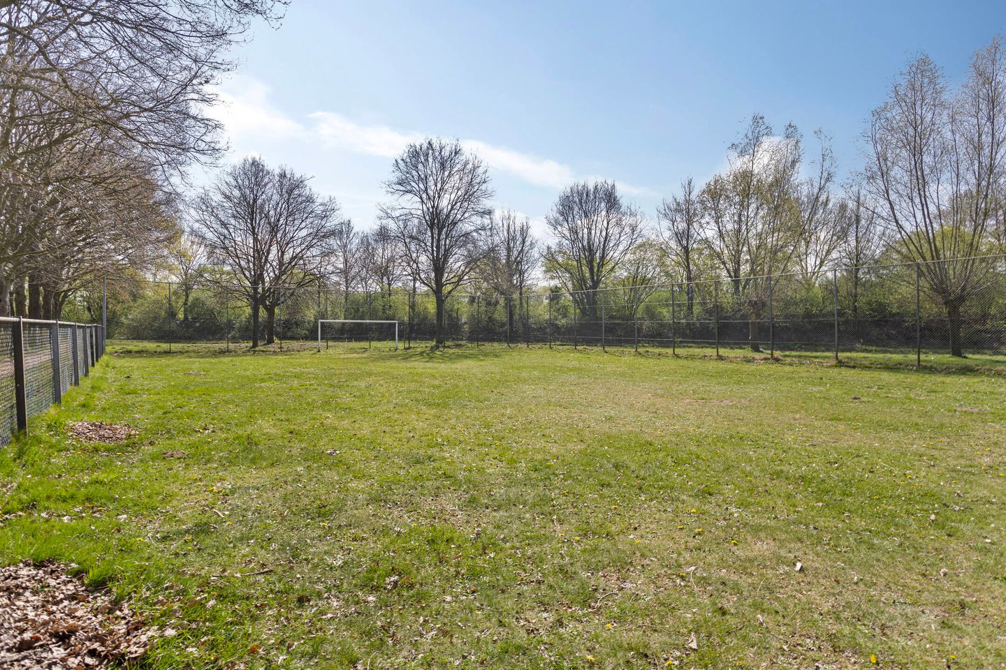 Foto 5 van Montgomerystraat 8