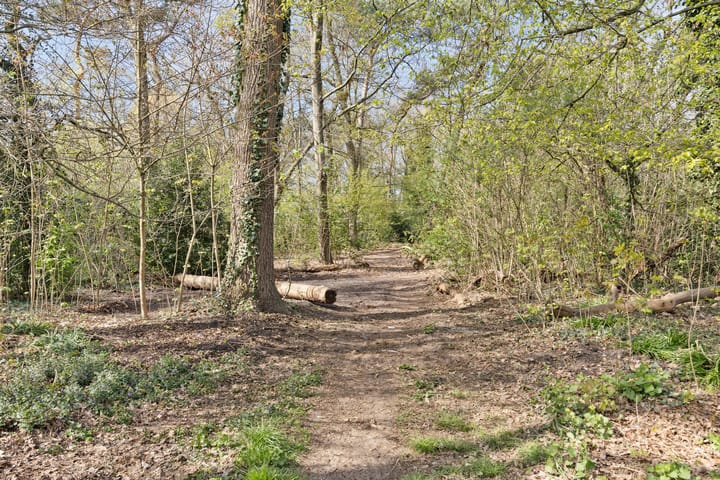 Foto 37 van Morslaan 138