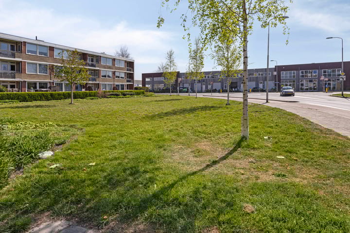 Foto 29 van Van Brakelstraat 50