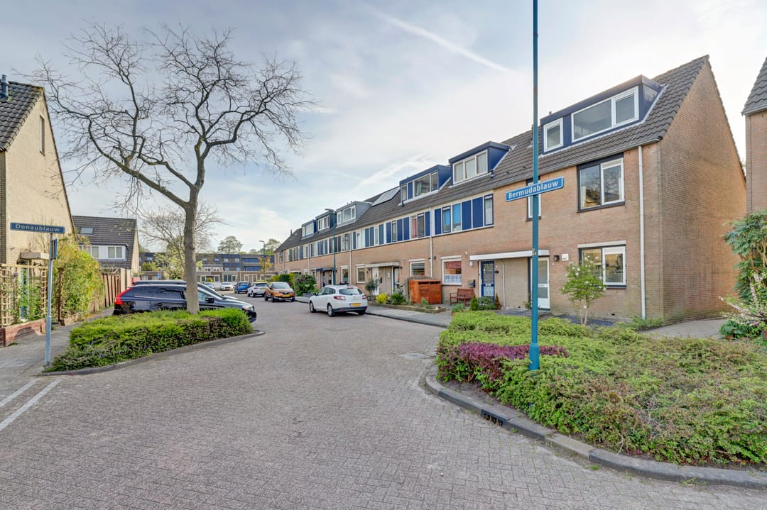 Foto 38 van Bermudablauw 52