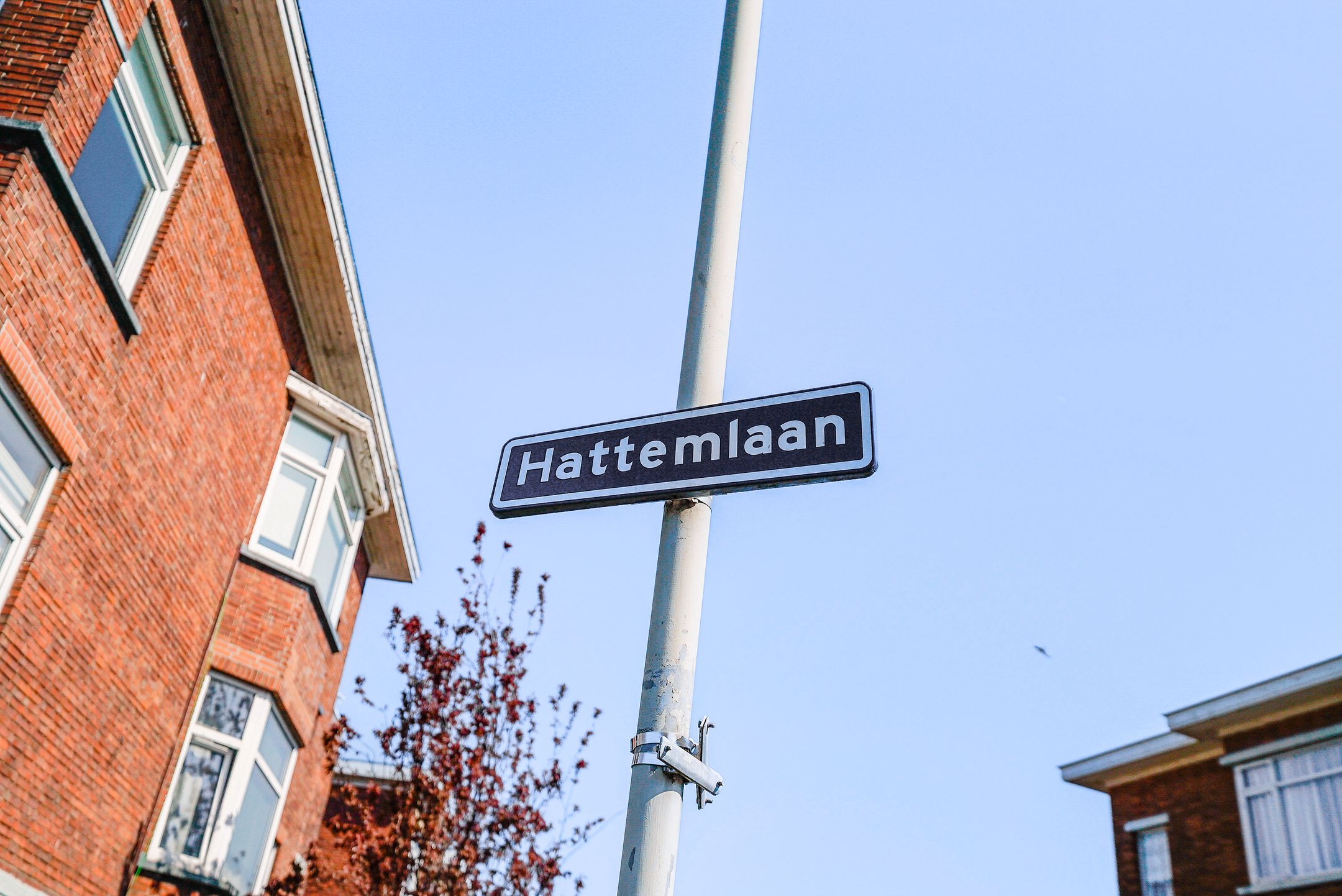 Photo 27 of Hattemlaan 10