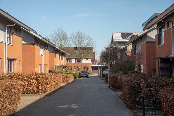 Foto 5 van Satijnvlinder 20