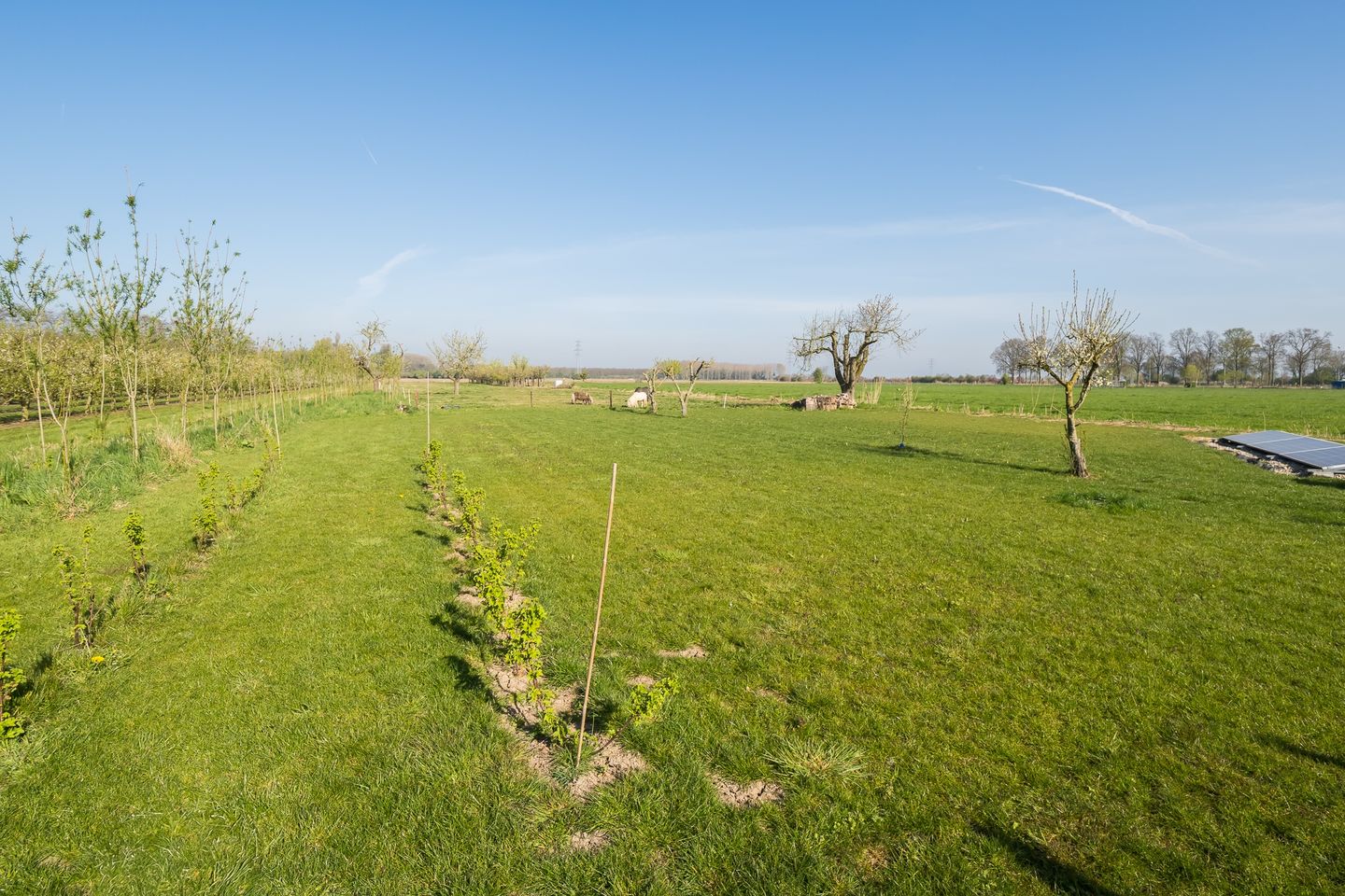 Foto 74 van Gerestraat 6-A