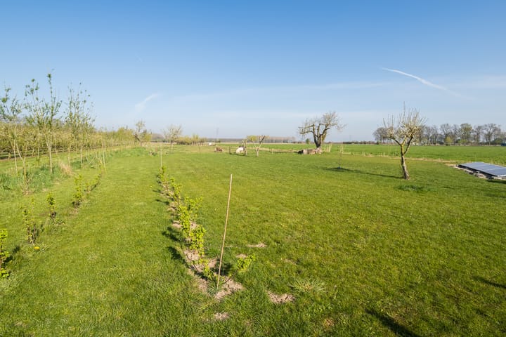 Foto 74 van Gerestraat 6-A