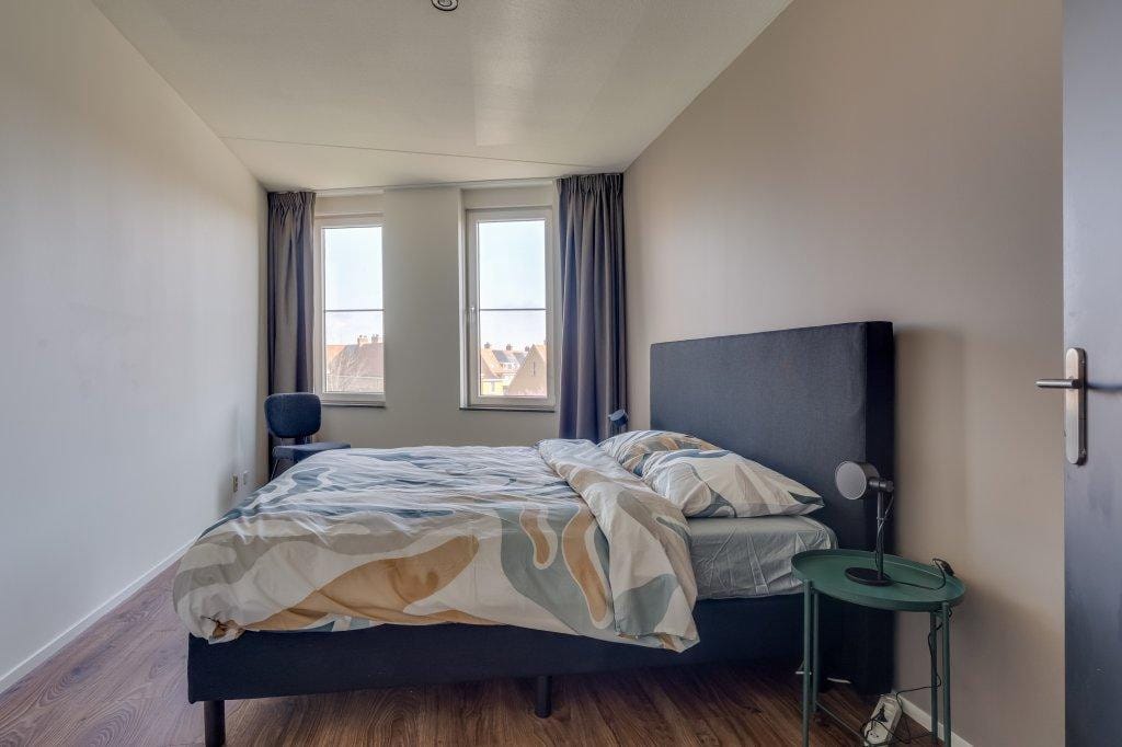 Photo 16 of Ringslang 125