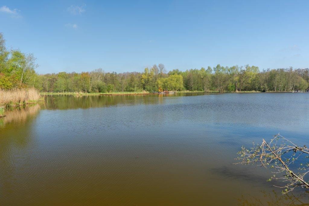 Photo 29 of Ringslang 125