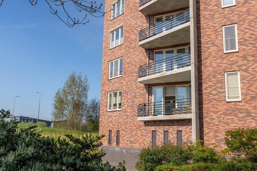 Photo 24 of Ringslang 125