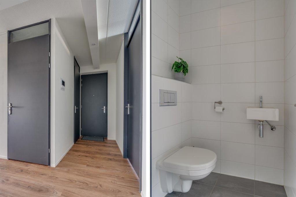 Photo 14 of Ringslang 125