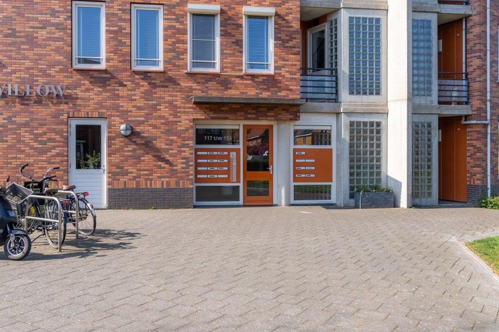 Photo 23 of Ringslang 125