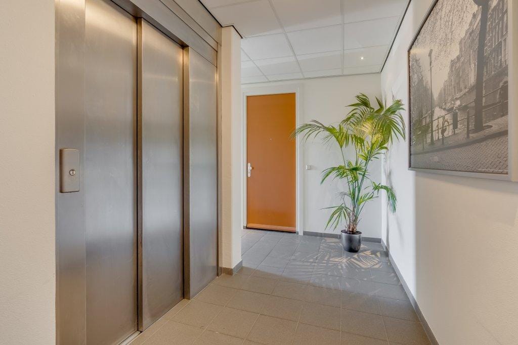 Photo 21 of Ringslang 125