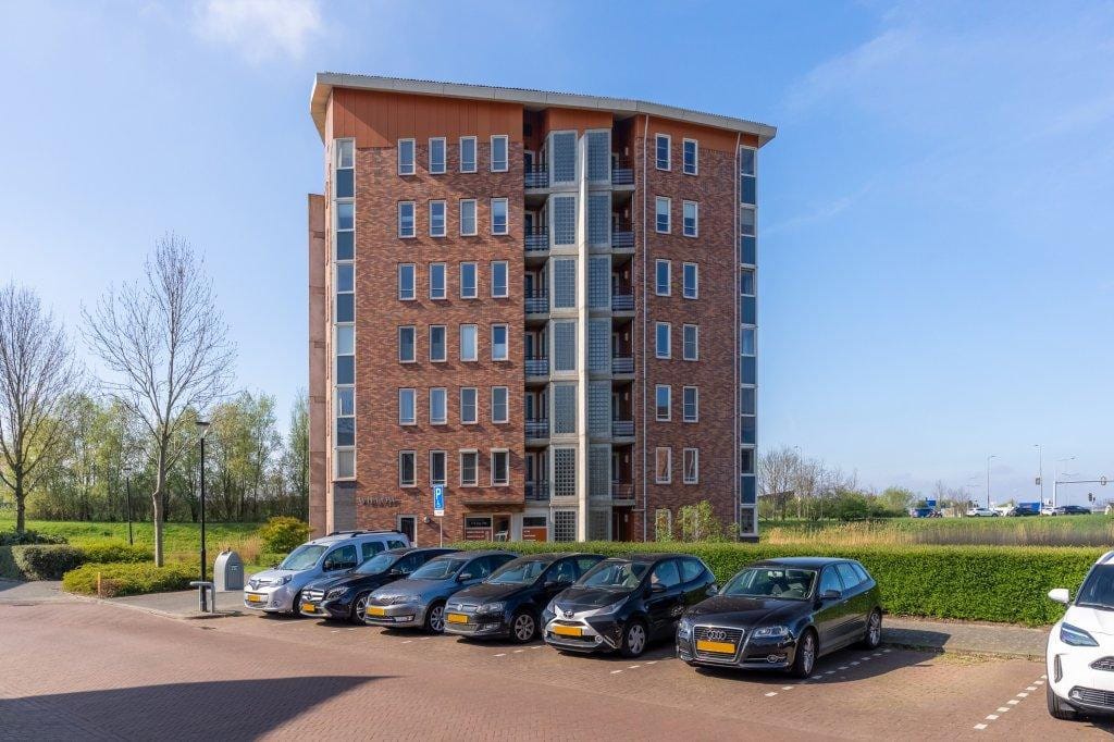 Photo 25 of Ringslang 125